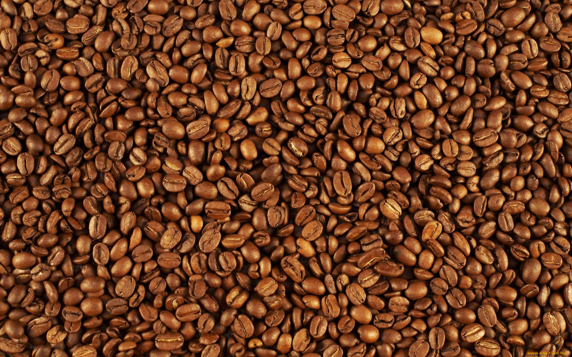 , ,   , pattern, coffee, beans, , many